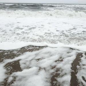 Meet your Posher, Lavetta